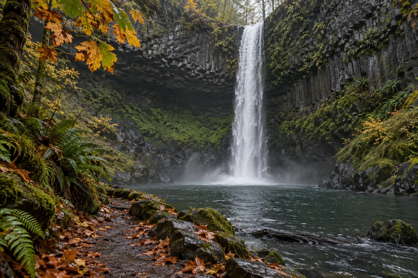 Illustration of a waterfall falling into a basalt pool beside autumn maple leaves