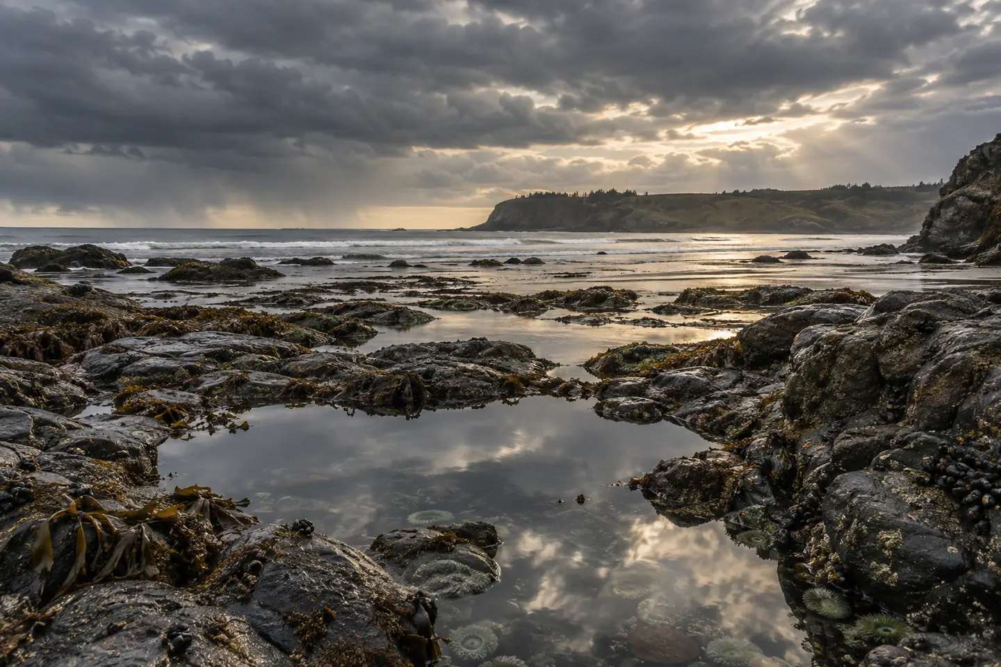 Illustration of rocky winter tide pools beneath a receding rain front